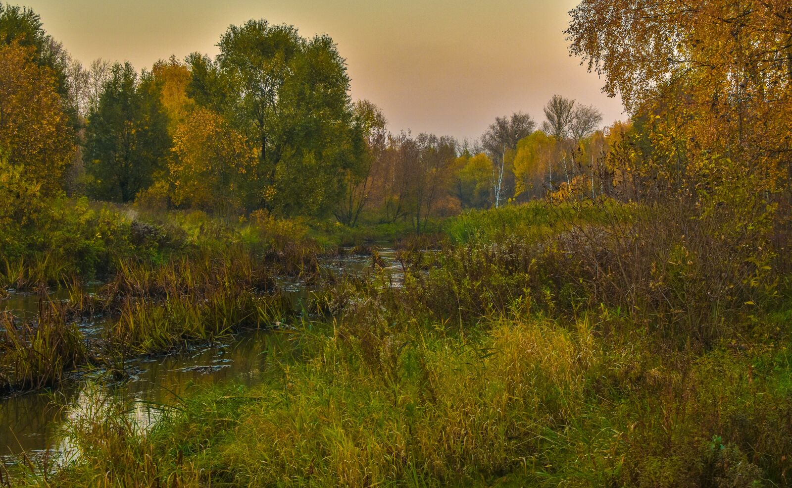 Nikon D5500 sample photo. Landscape, nature, autumn photography