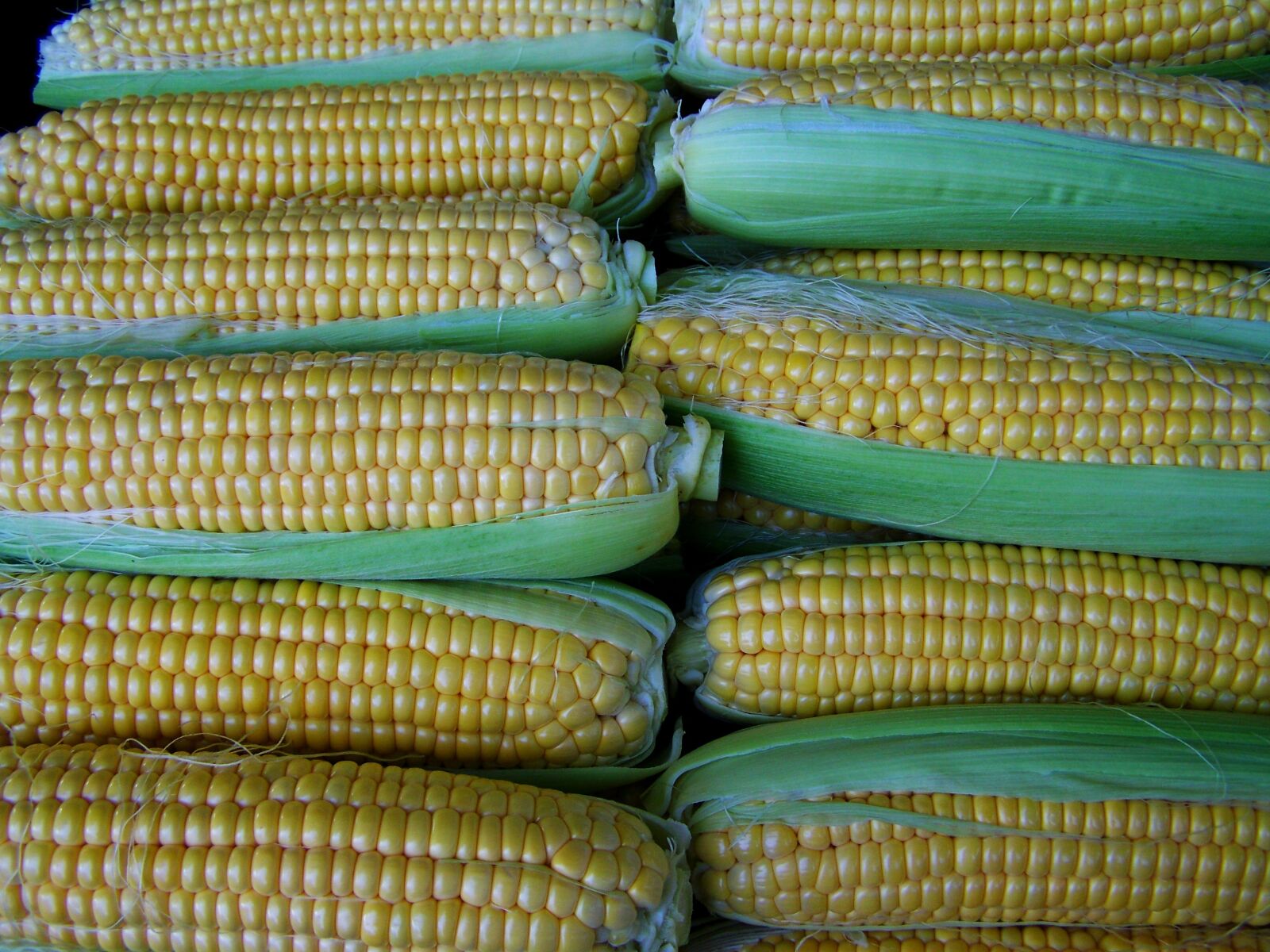 Kodak EASYSHARE ZD710 ZOOM DIGITAL CAMERA sample photo. Corn, dessert, food photography