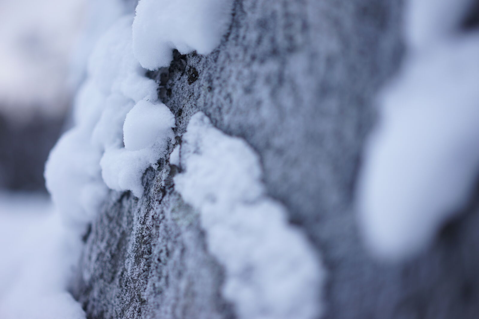 Sony a7 II + Sony Sonnar T* FE 55mm F1.8 ZA sample photo. Stone at the winter photography