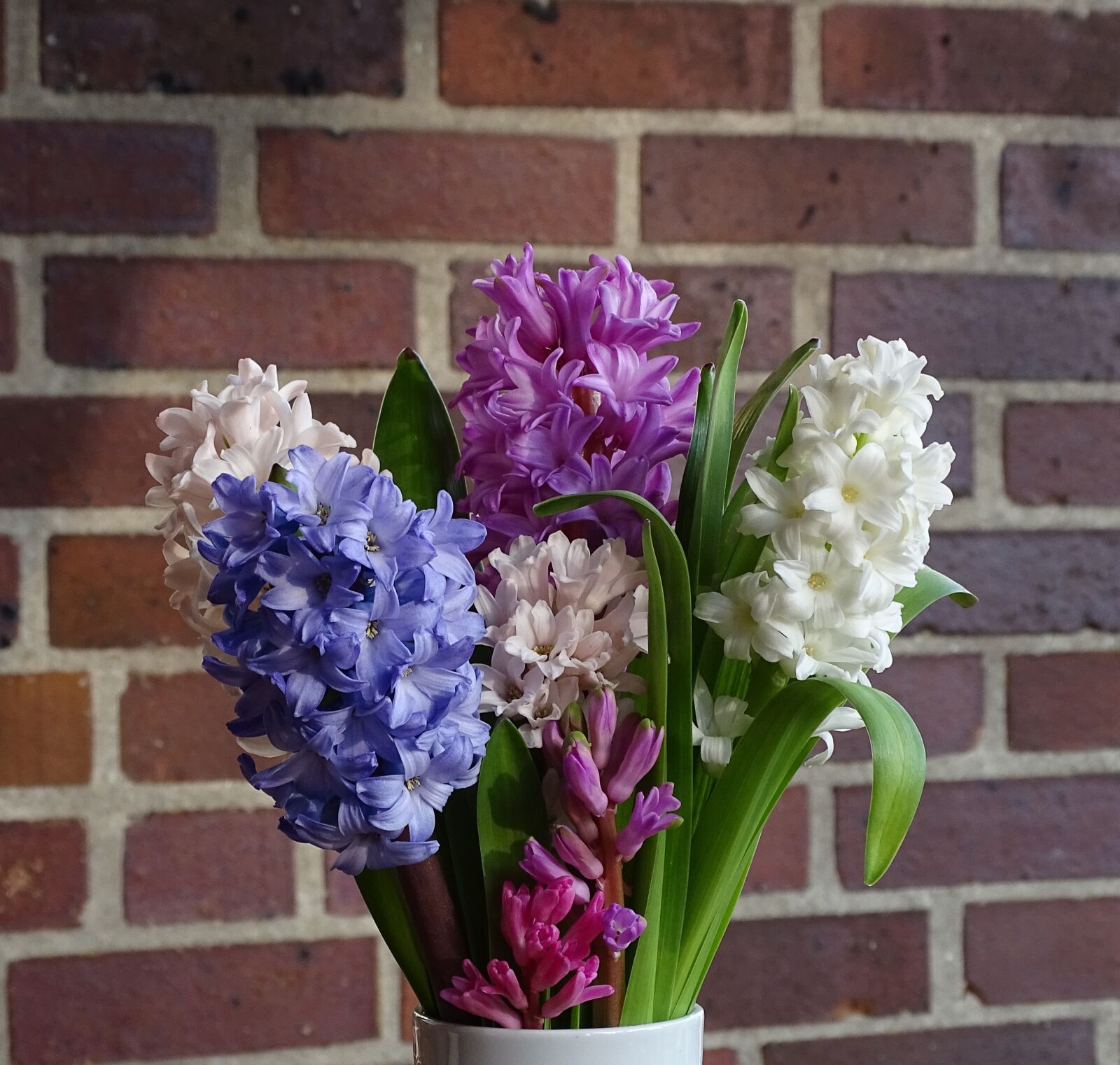 Sony Cyber-shot DSC-HX400V sample photo. Bouquet of flowers, hyacinth photography