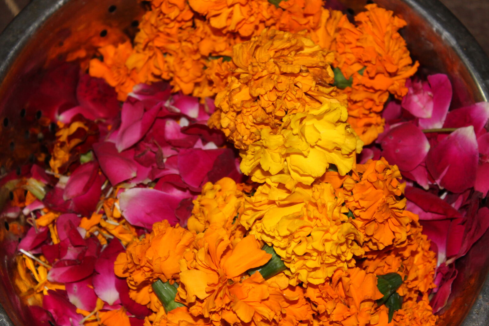 Canon EOS 1200D (EOS Rebel T5 / EOS Kiss X70 / EOS Hi) sample photo. Genda, flower, hindu, worship photography