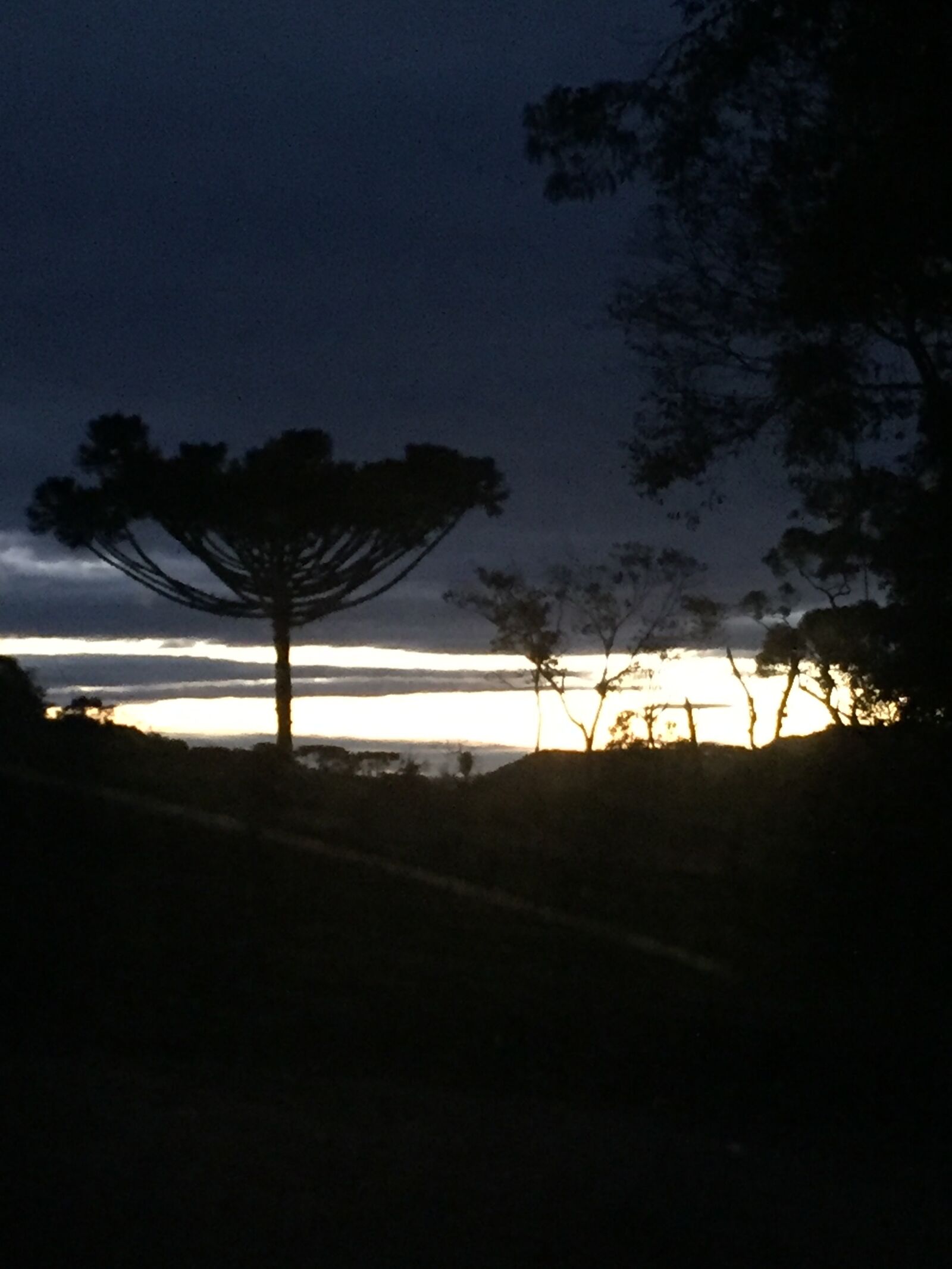iPhone 6 back camera 4.15mm f/2.2 sample photo. Sunset, nature, sky photography