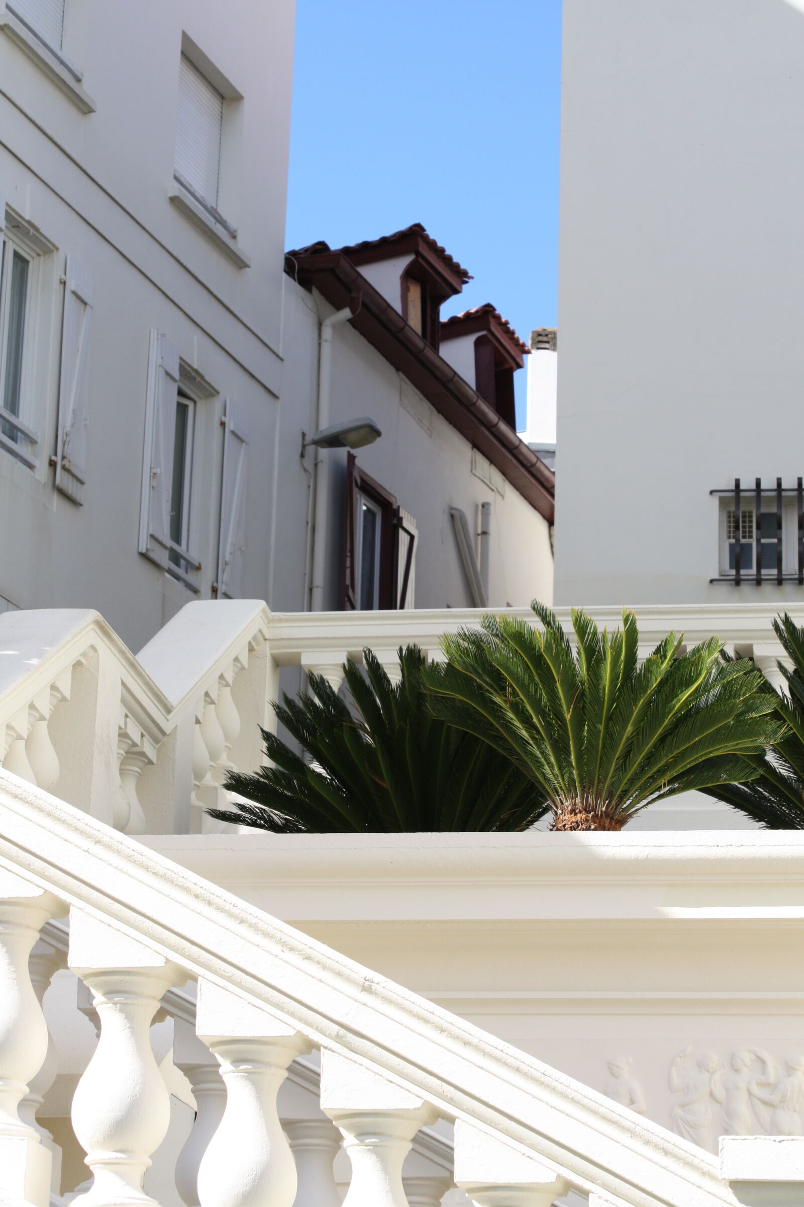 Canon EOS 450D (EOS Rebel XSi / EOS Kiss X2) sample photo. Staircase, white, summer photography