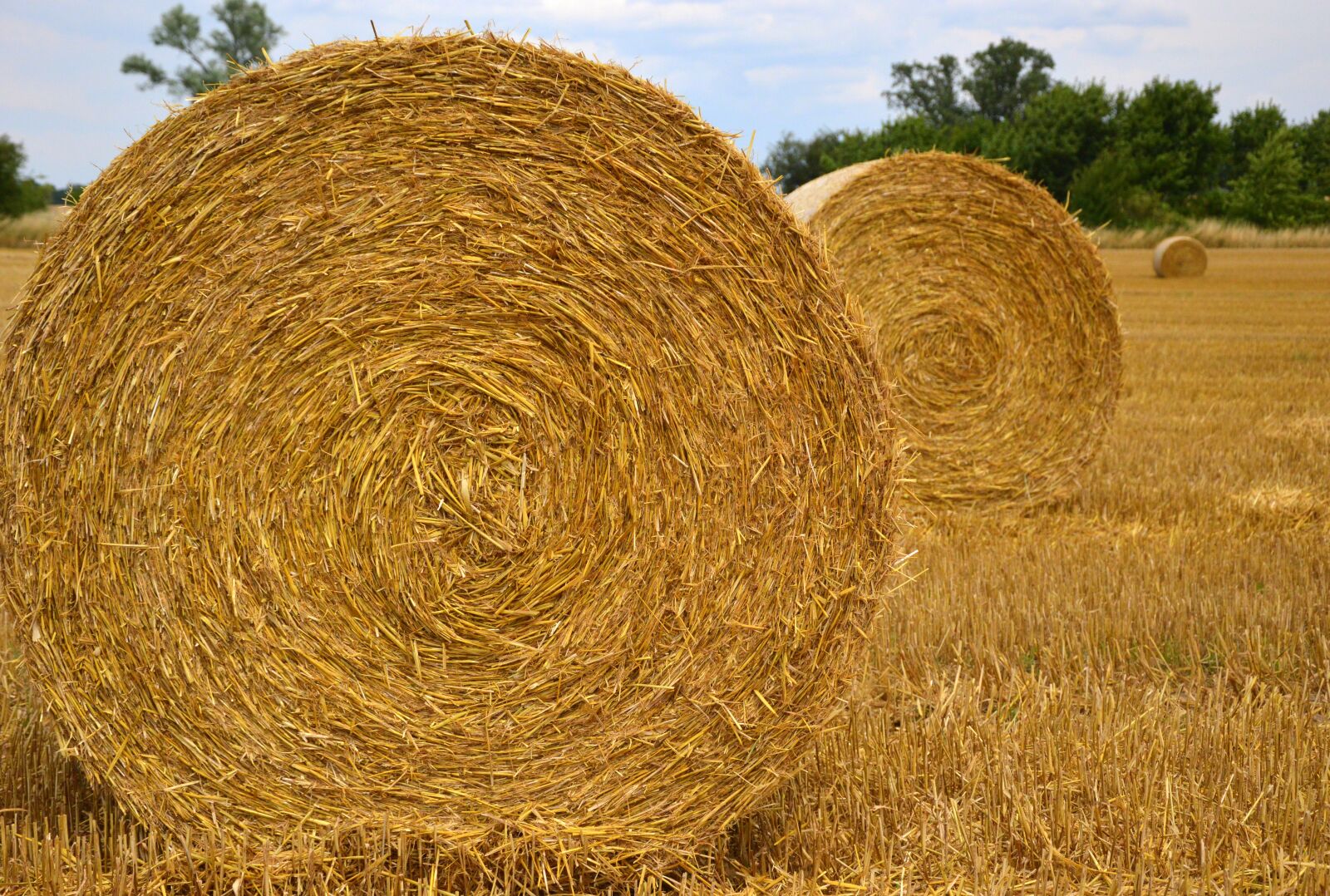 Nikon D3200 sample photo. Nature, straw bales, straw photography