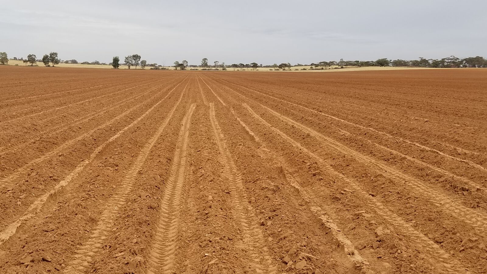 Samsung Galaxy S8 sample photo. Agriculture, soil, field photography