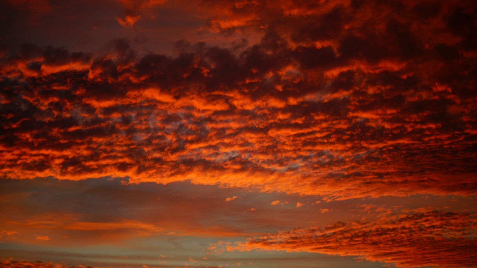 Sony SLT-A65 (SLT-A65V) sample photo. Clouds, dawn, red photography