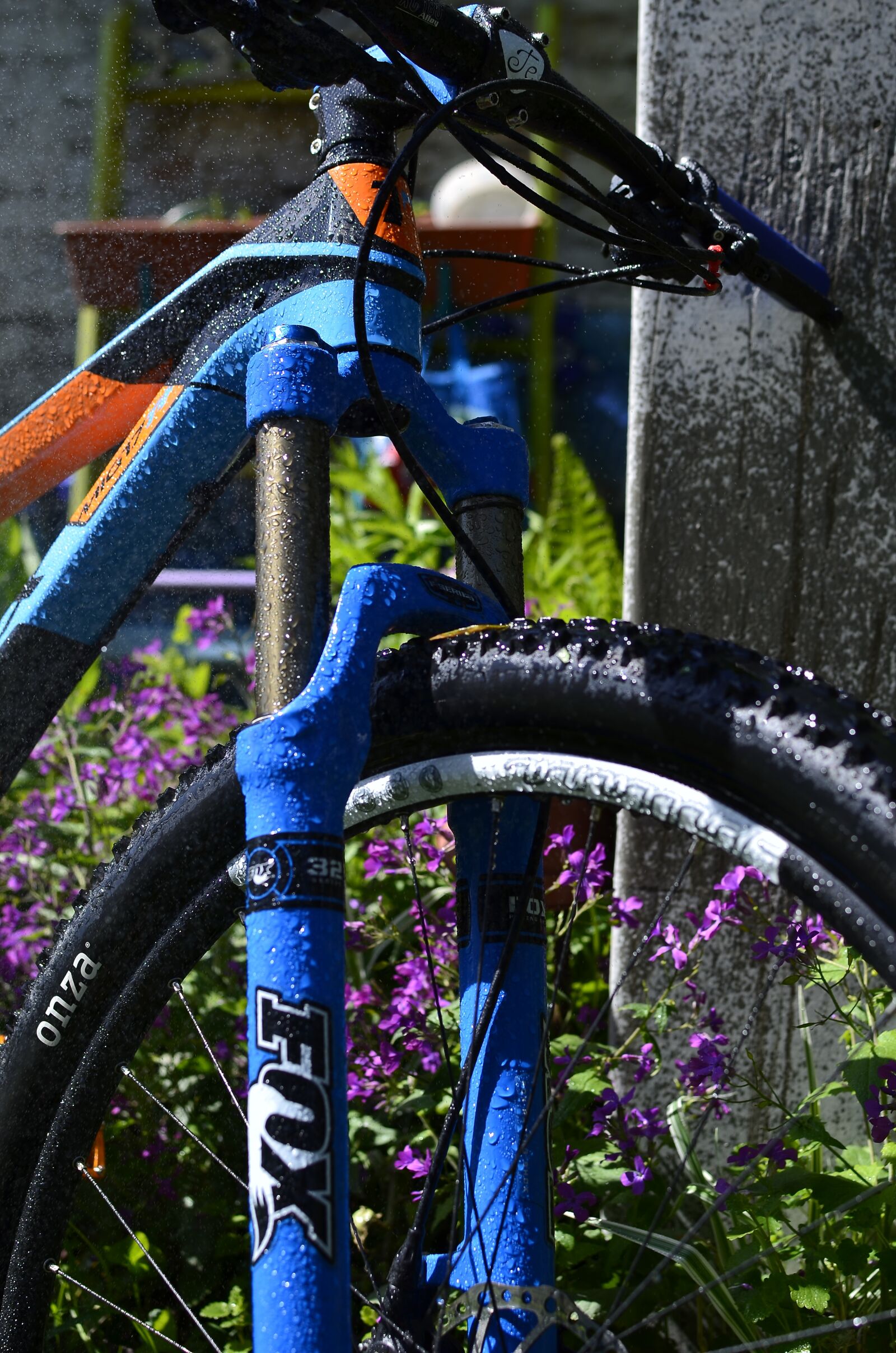 Nikon D7000 sample photo. Bike, fox, shimano photography