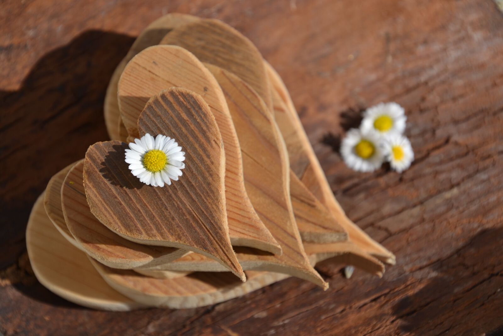 Nikon D3100 sample photo. Love, mother's day, heart photography