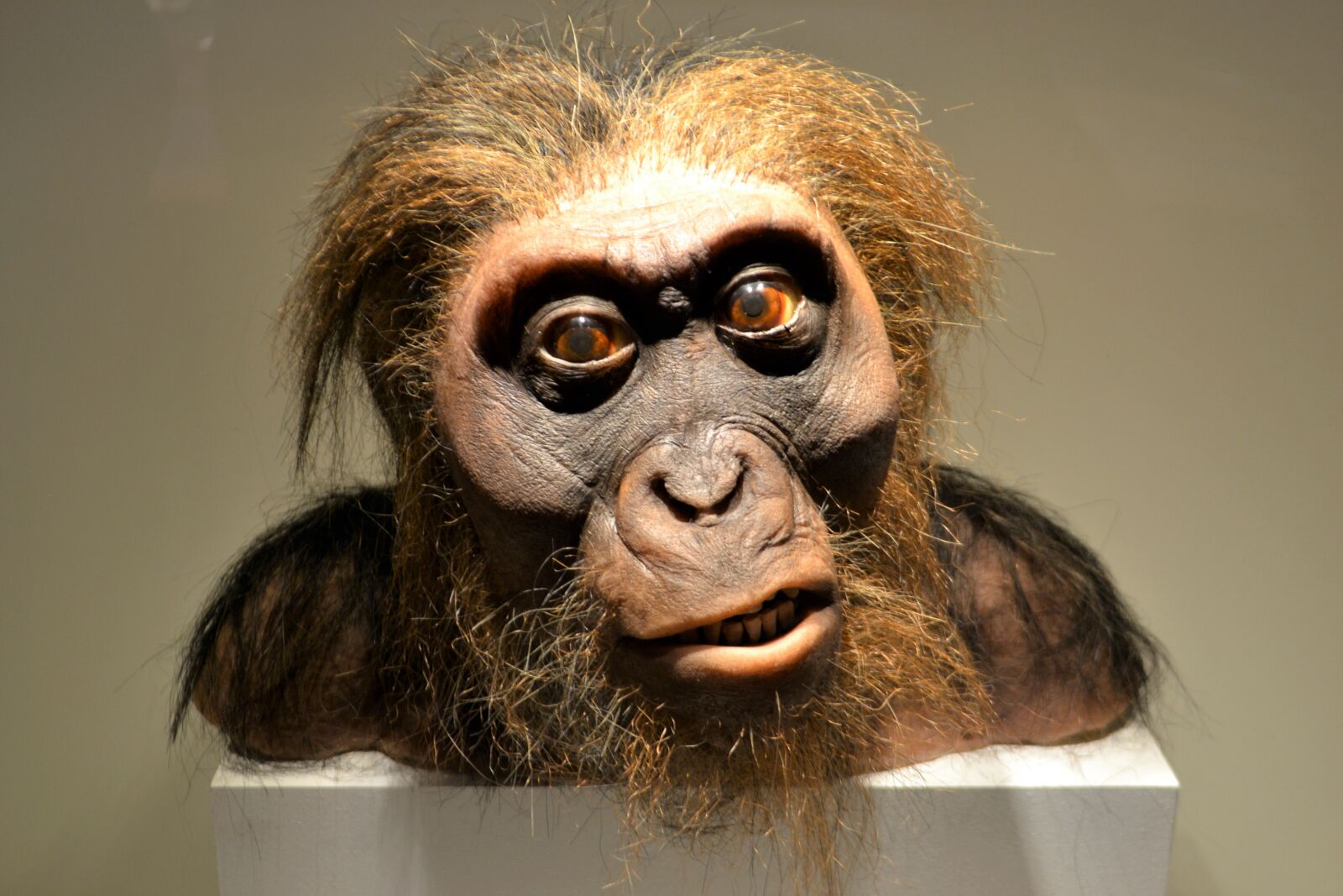 Nikon D3100 sample photo. Neanderthal, caveman, prehistoric photography