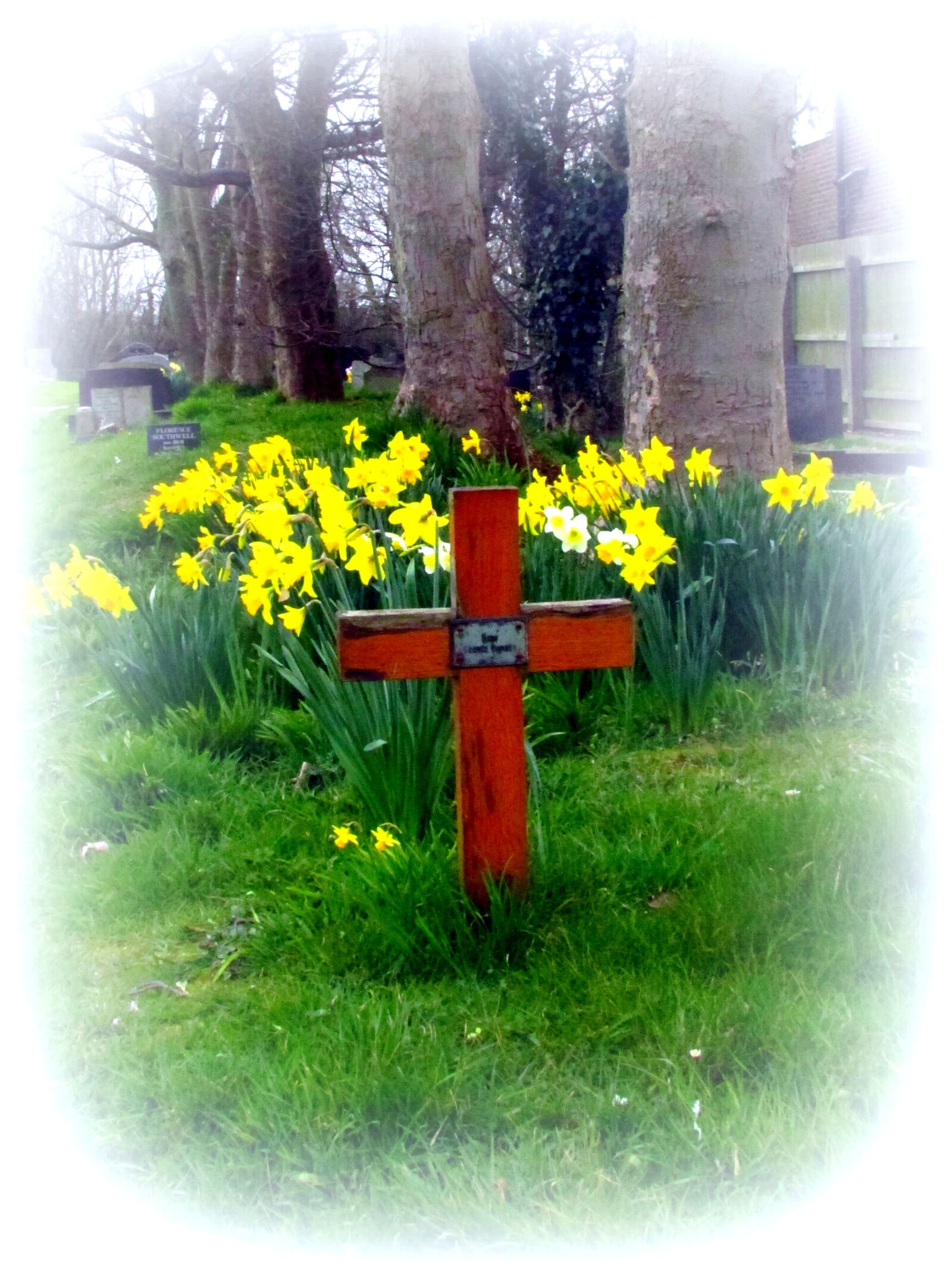 Canon PowerShot SX500 IS sample photo. Churchyard, cross, daffodil, easter photography