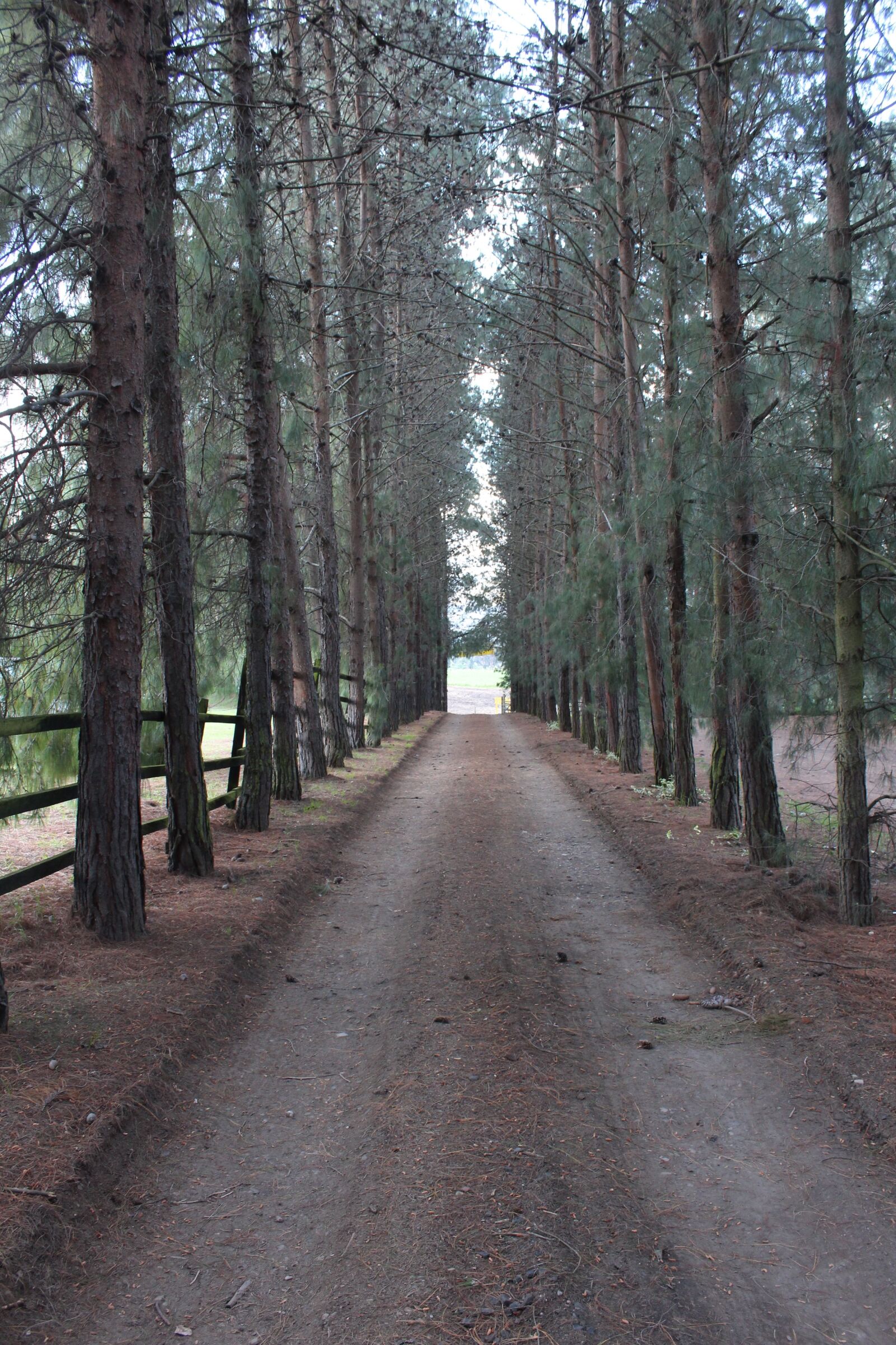 Canon EOS 1200D (EOS Rebel T5 / EOS Kiss X70 / EOS Hi) sample photo. Bogota, faraway, nature, passage photography