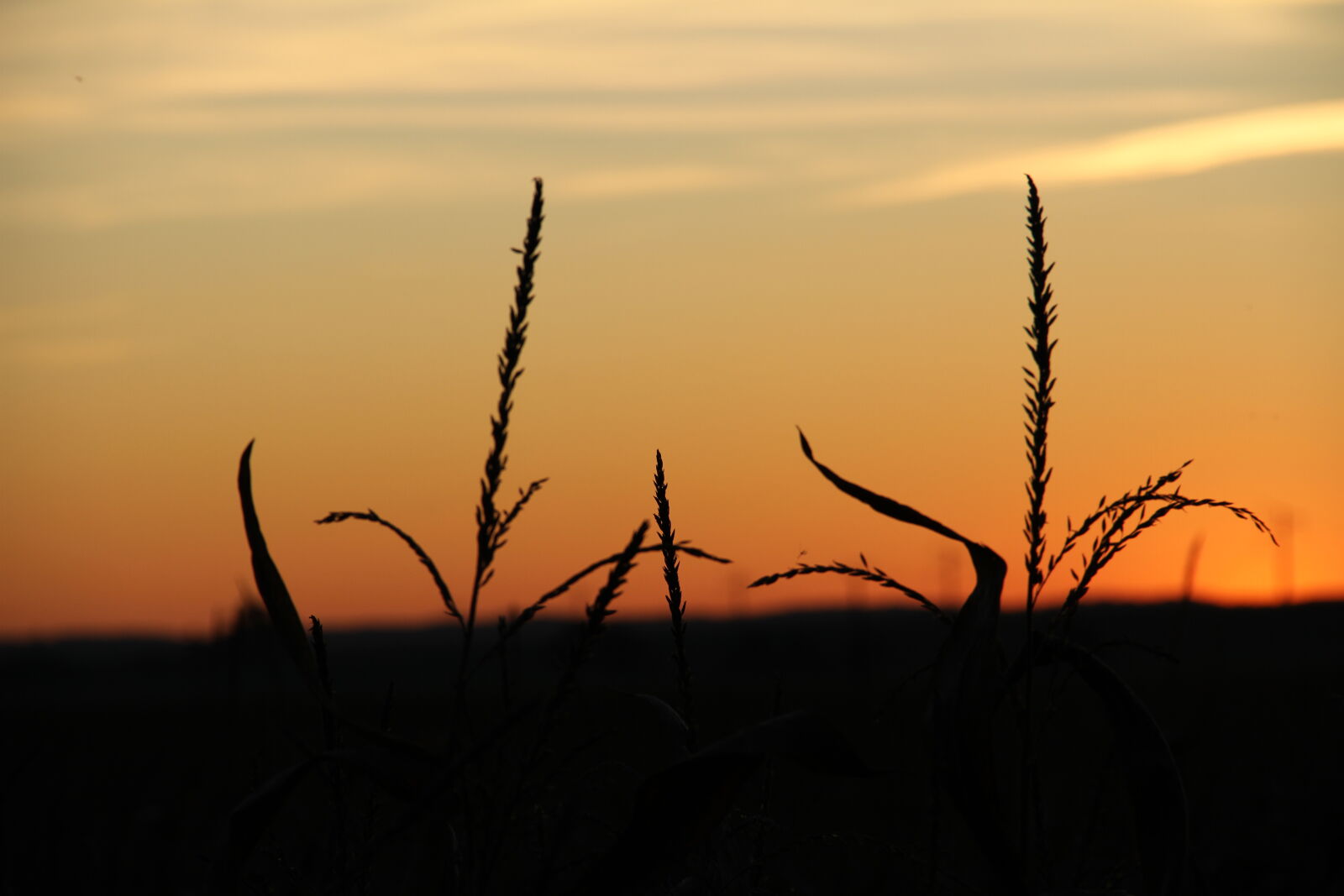 Canon EOS 7D sample photo
