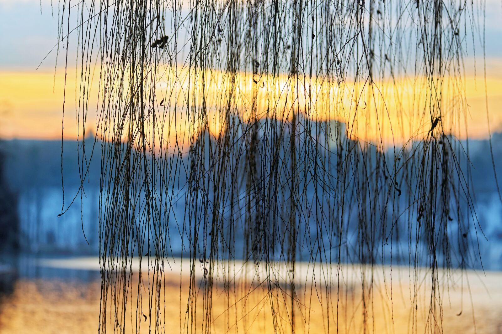 Nikon D5300 sample photo. Landscape, sunset, sun photography