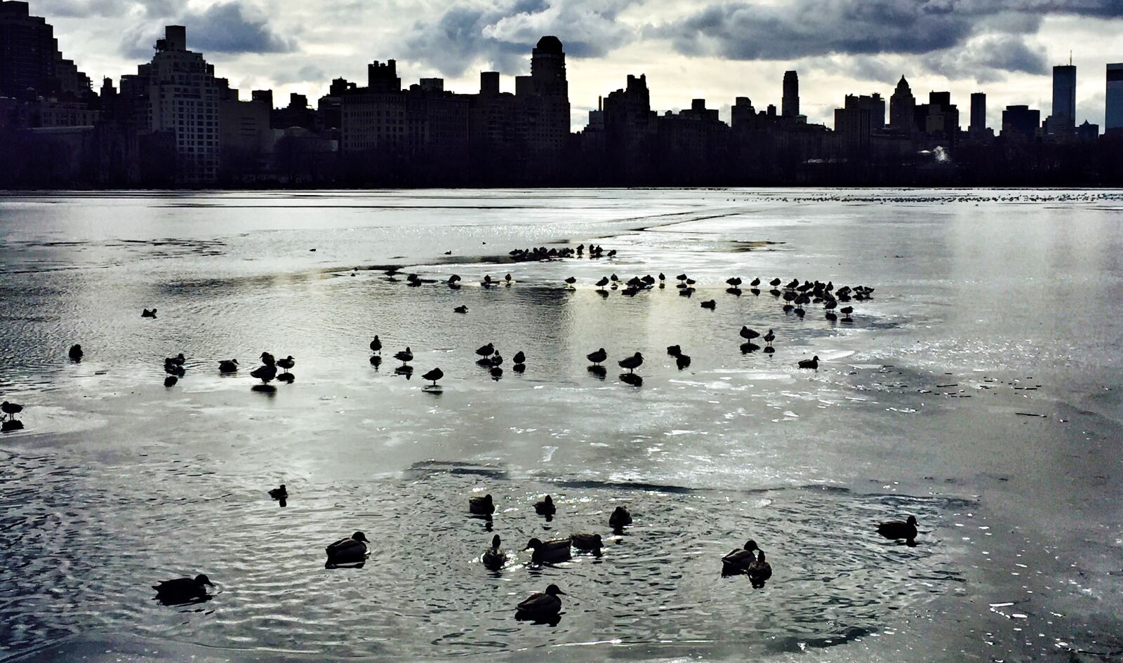 iPhone 6 back camera 4.15mm f/2.2 sample photo. Central, park photography