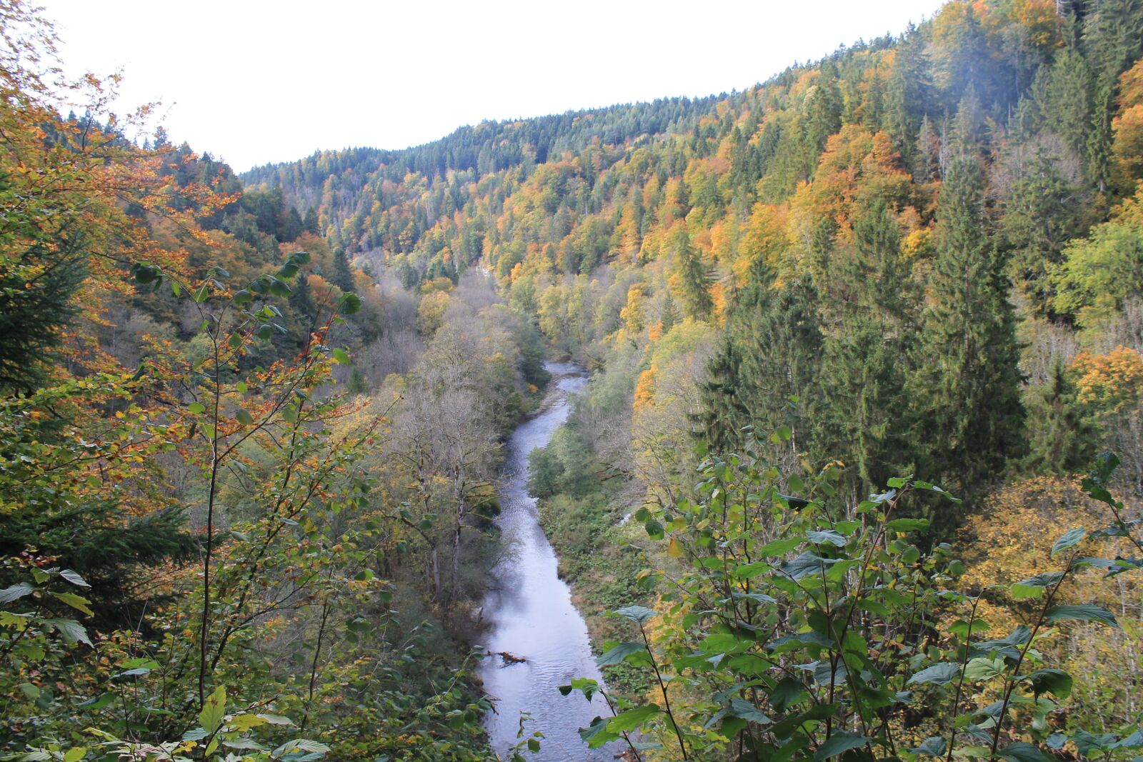 Canon EOS 1100D (EOS Rebel T3 / EOS Kiss X50) sample photo. Autumn, river, bach photography