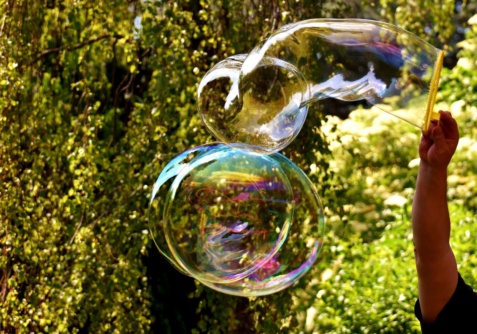 Nikon D7200 sample photo. Soap bubbles, huge, large photography