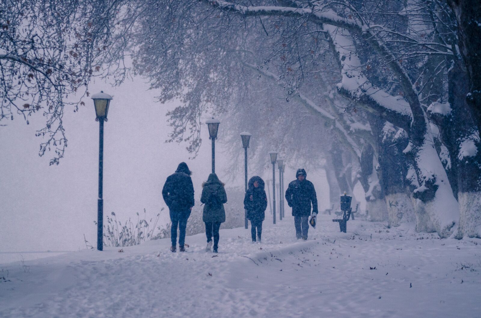 Nikon D7000 sample photo. People, winter, snow photography