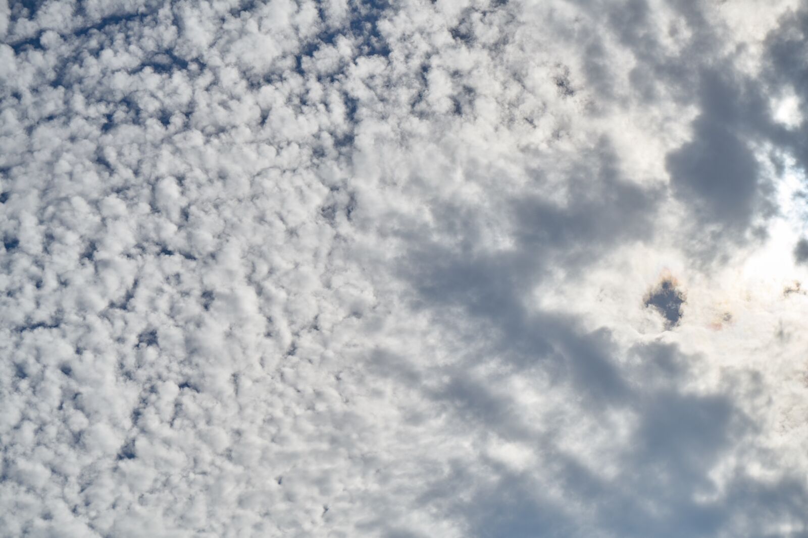 Sony a7R II sample photo. Cloud, blue, sky photography