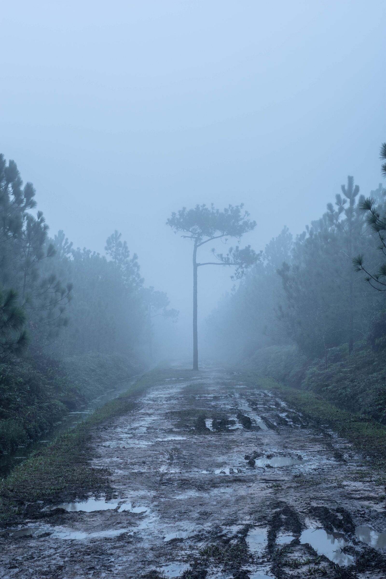 Nikon D7200 sample photo. Fog, nature, waterfall photography