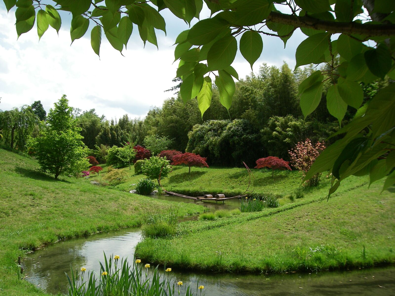 Pentax OPTIO T30 sample photo. Japanese garden, garden, bamboo photography
