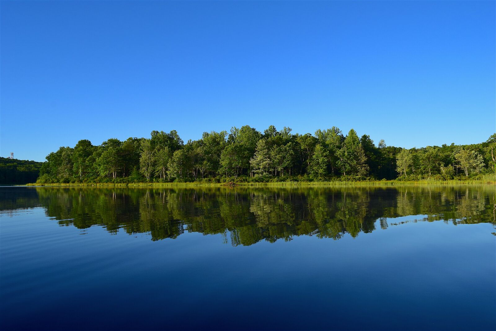 Nikon D3300 sample photo. Lake, forest, trees photography
