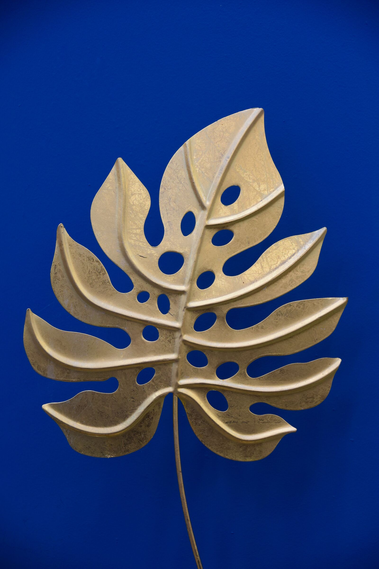 Nikon D5600 sample photo. Leaf, sheet golden, decoration photography