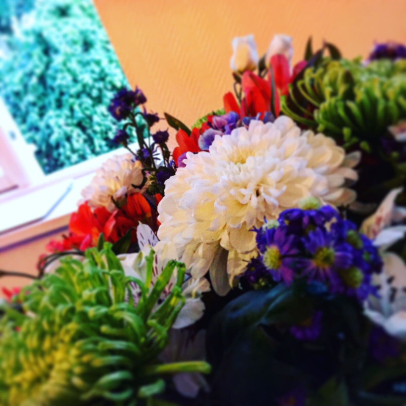 Apple iPhone 6 sample photo. Colourful, flowers, summertime photography
