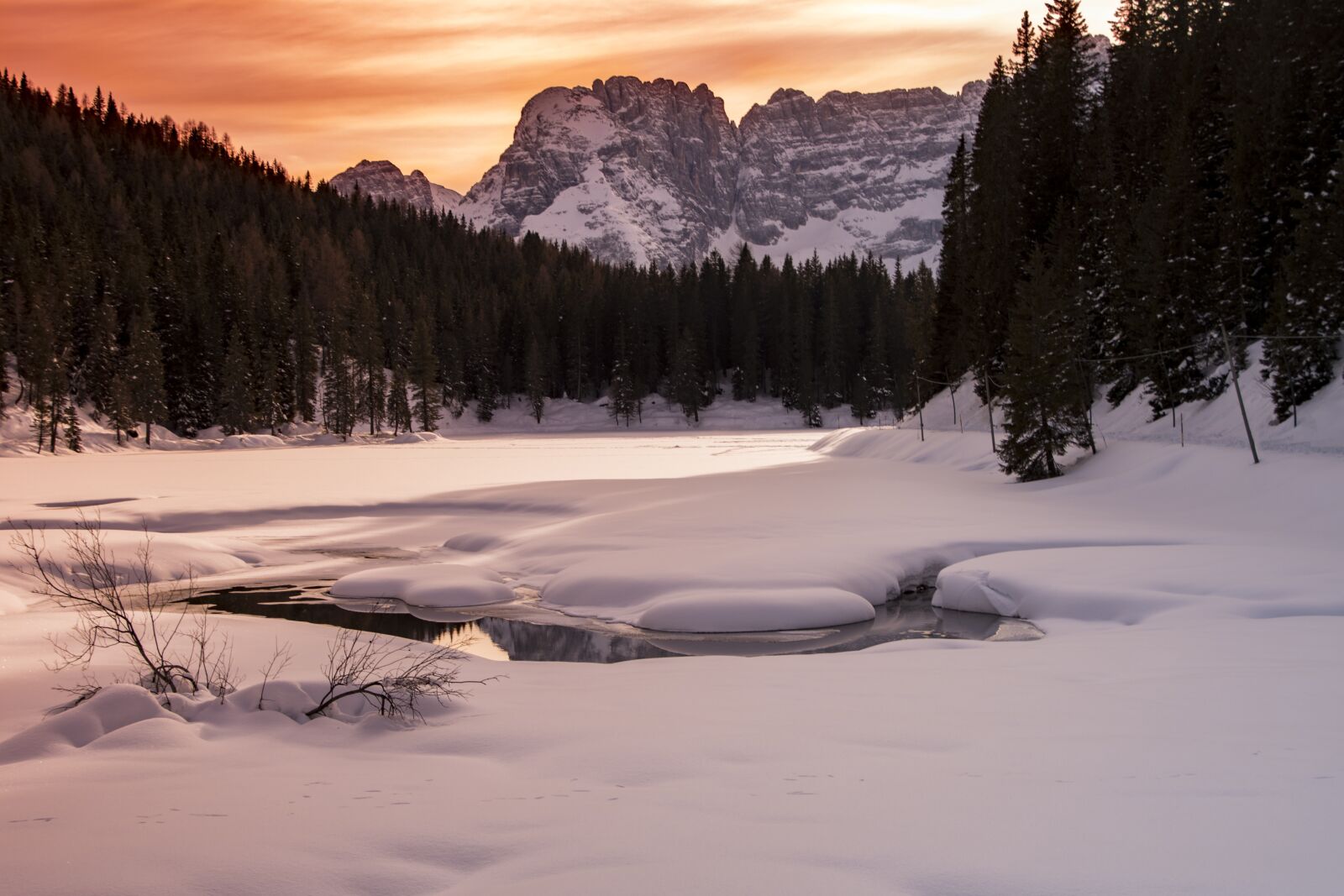 Nikon D7500 sample photo. Trip, snow, tree photography