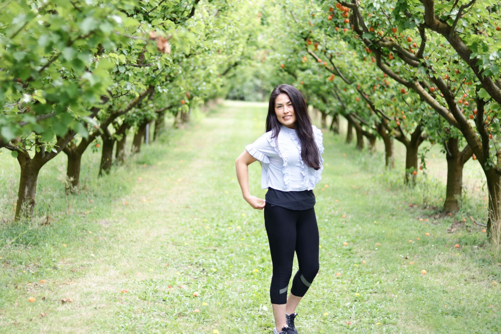 Canon EOS 80D + Canon EF 50mm F1.8 STM sample photo. Trees, orchard, leaves photography