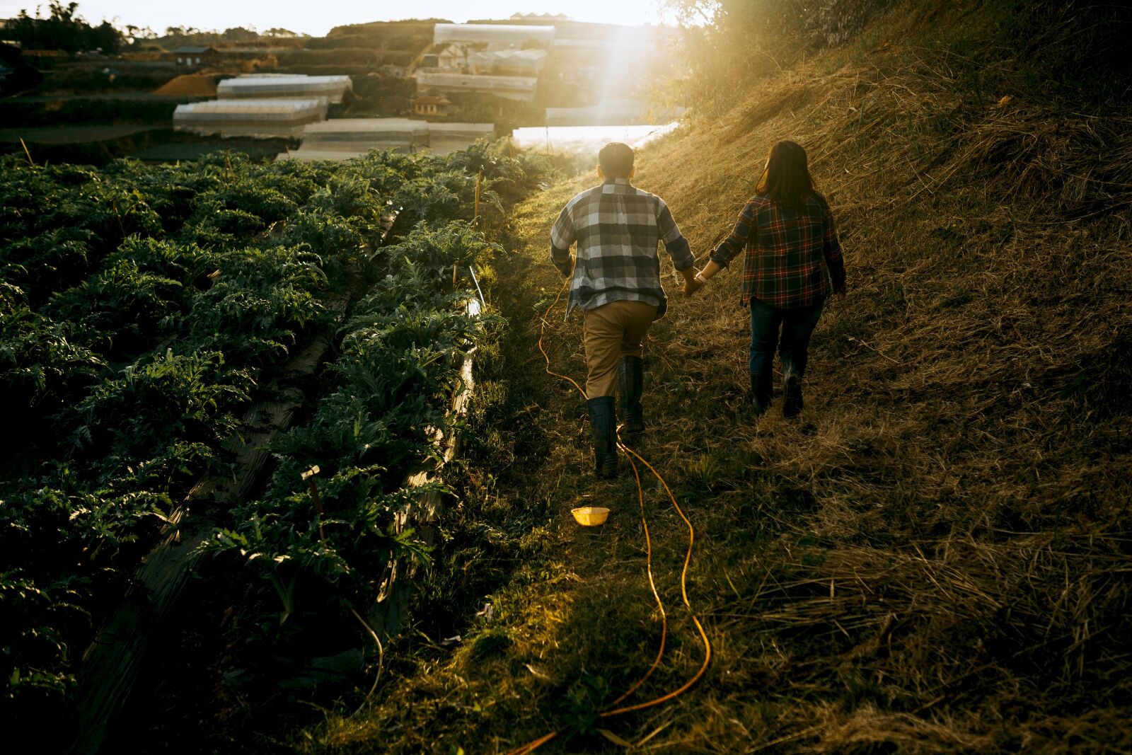 Canon EOS 6D Mark II sample photo. Farm, love, together photography