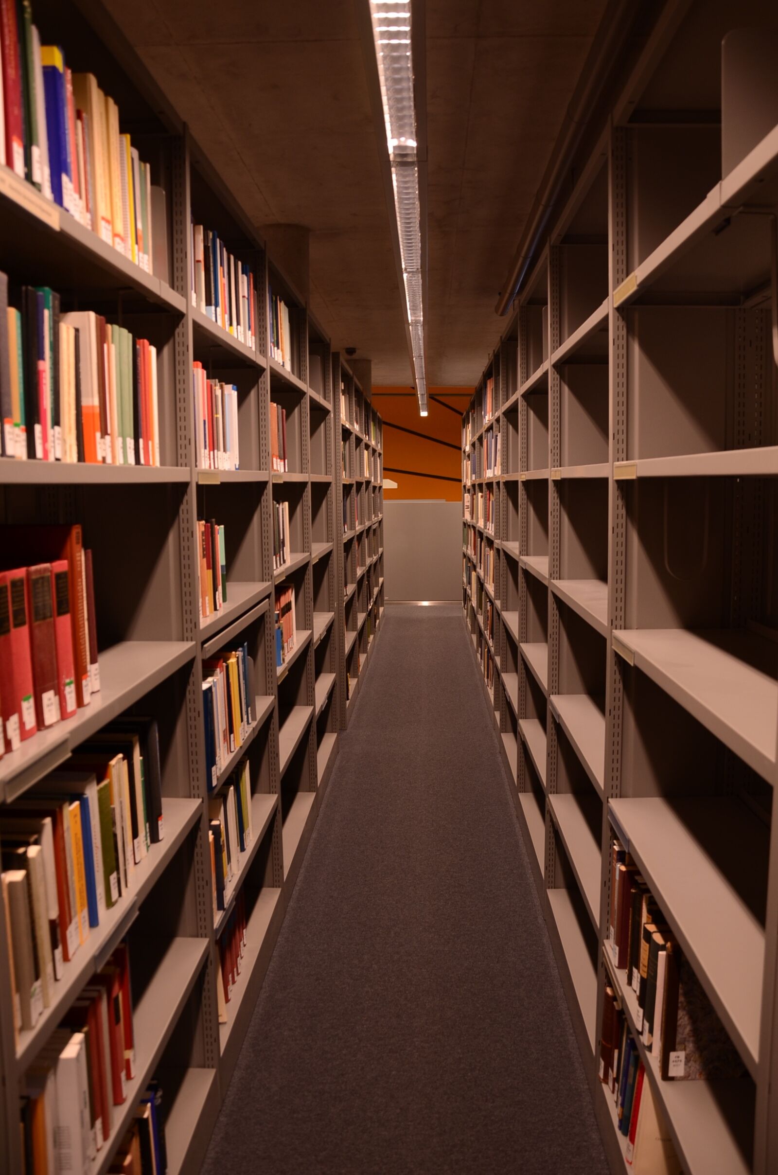 Nikon D7000 sample photo. Library, germany, architecture photography