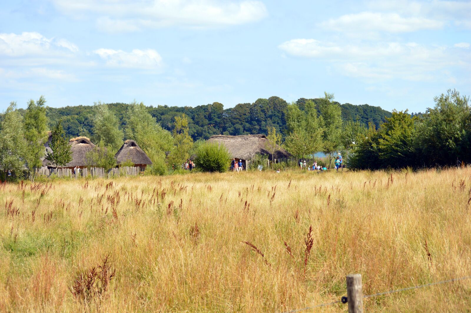Nikon D3200 sample photo. Haithabu, viking, museum photography