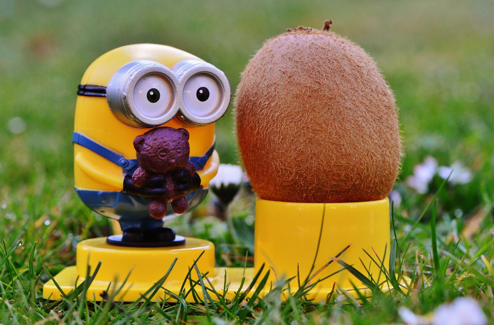 Nikon D3200 sample photo. Minion, funny, kiwi photography