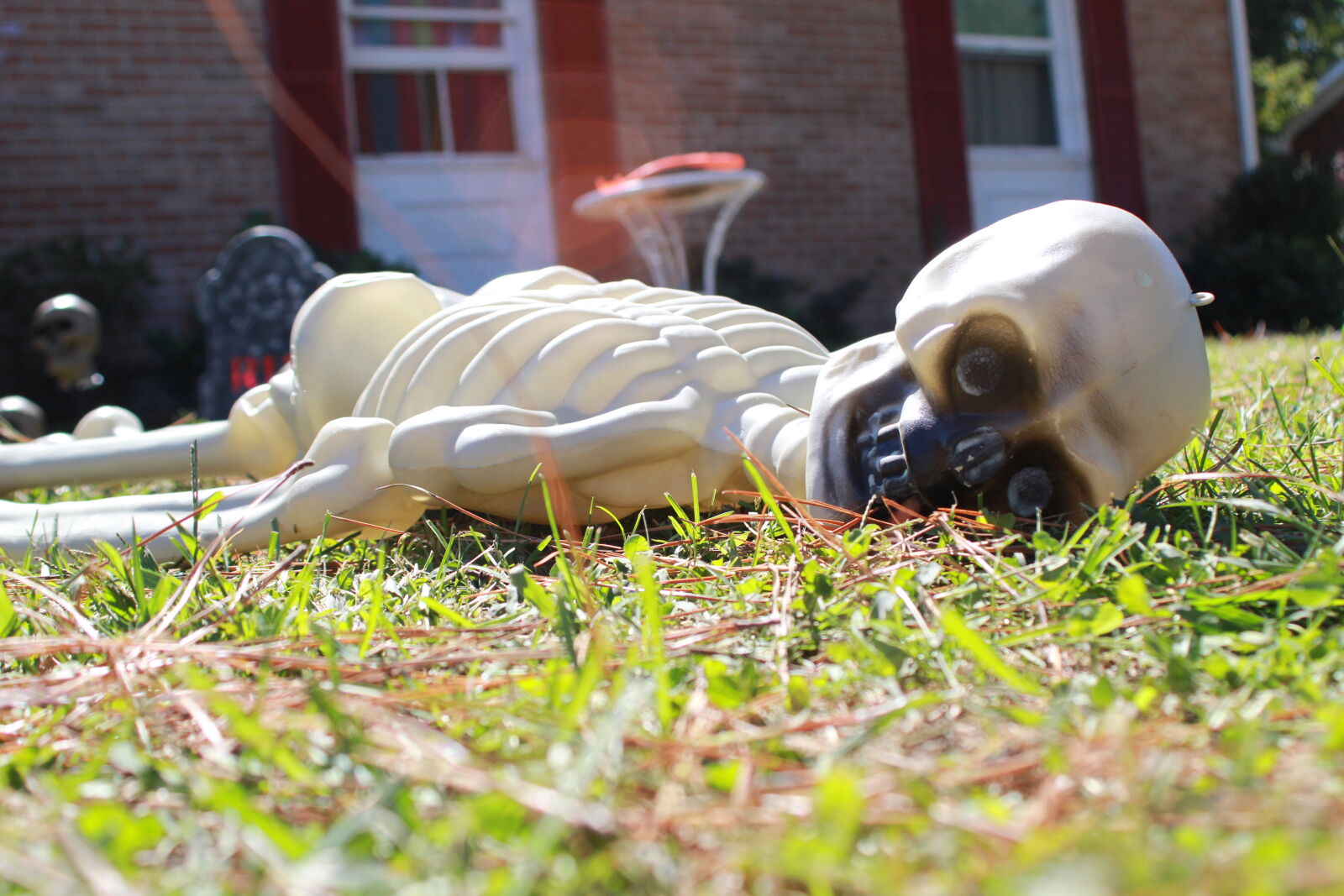 Canon EOS 60D + Canon EF 28-80mm f/3.5-5.6 sample photo. Halloween, holiday, skeleton photography