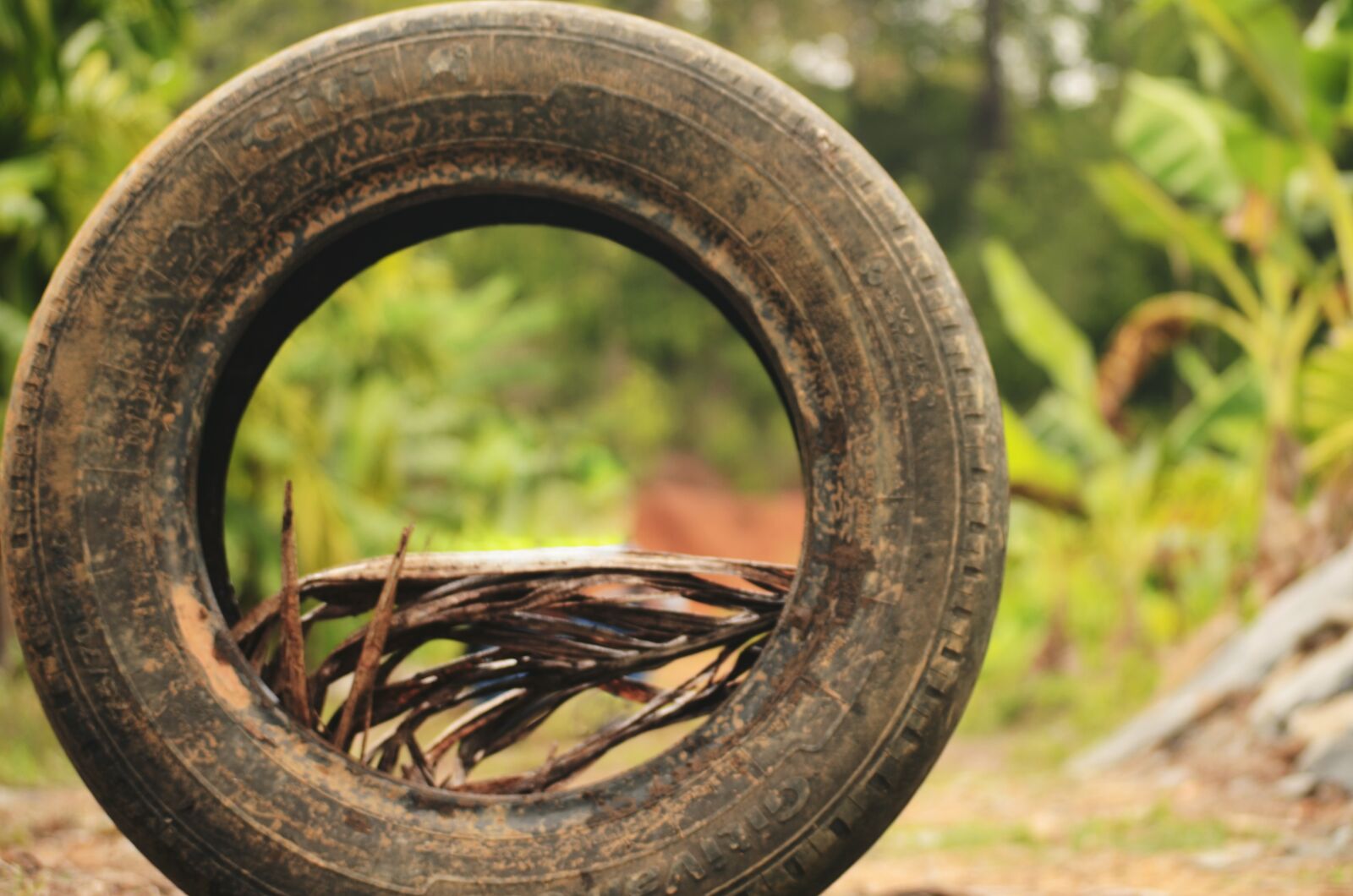 Nikon D5100 sample photo. Tyre, greenary, rubber photography
