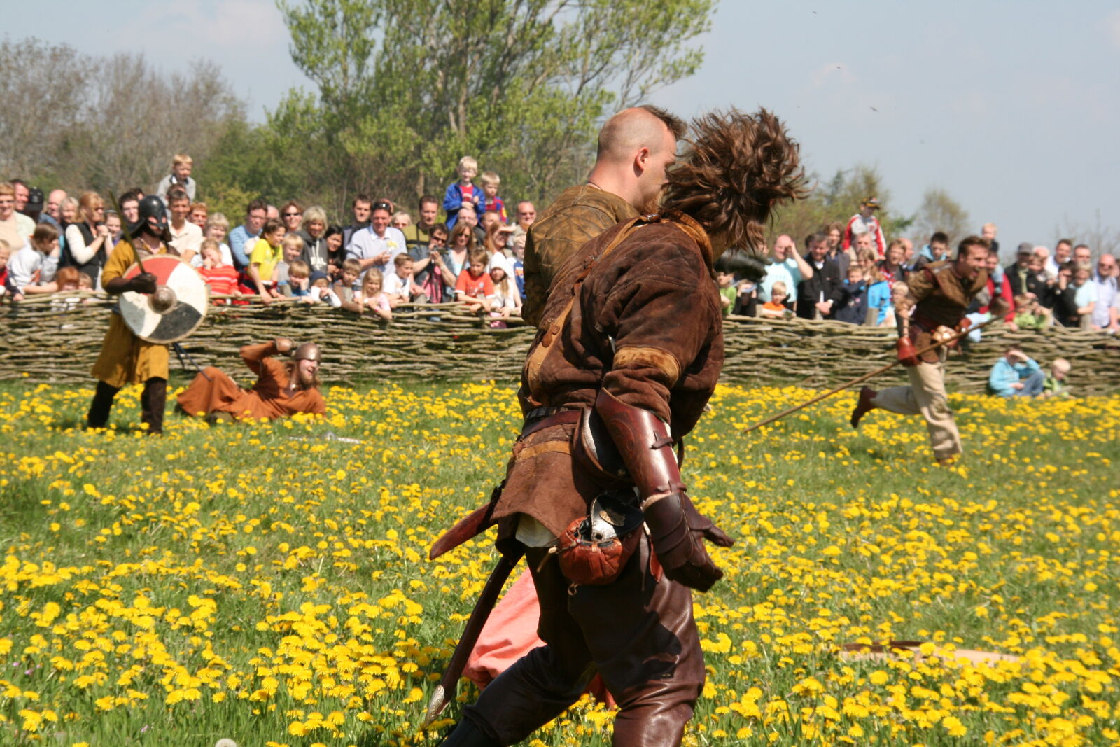 Sigma 18-200mm f/3.5-6.3 DC OS sample photo. Vikings photography