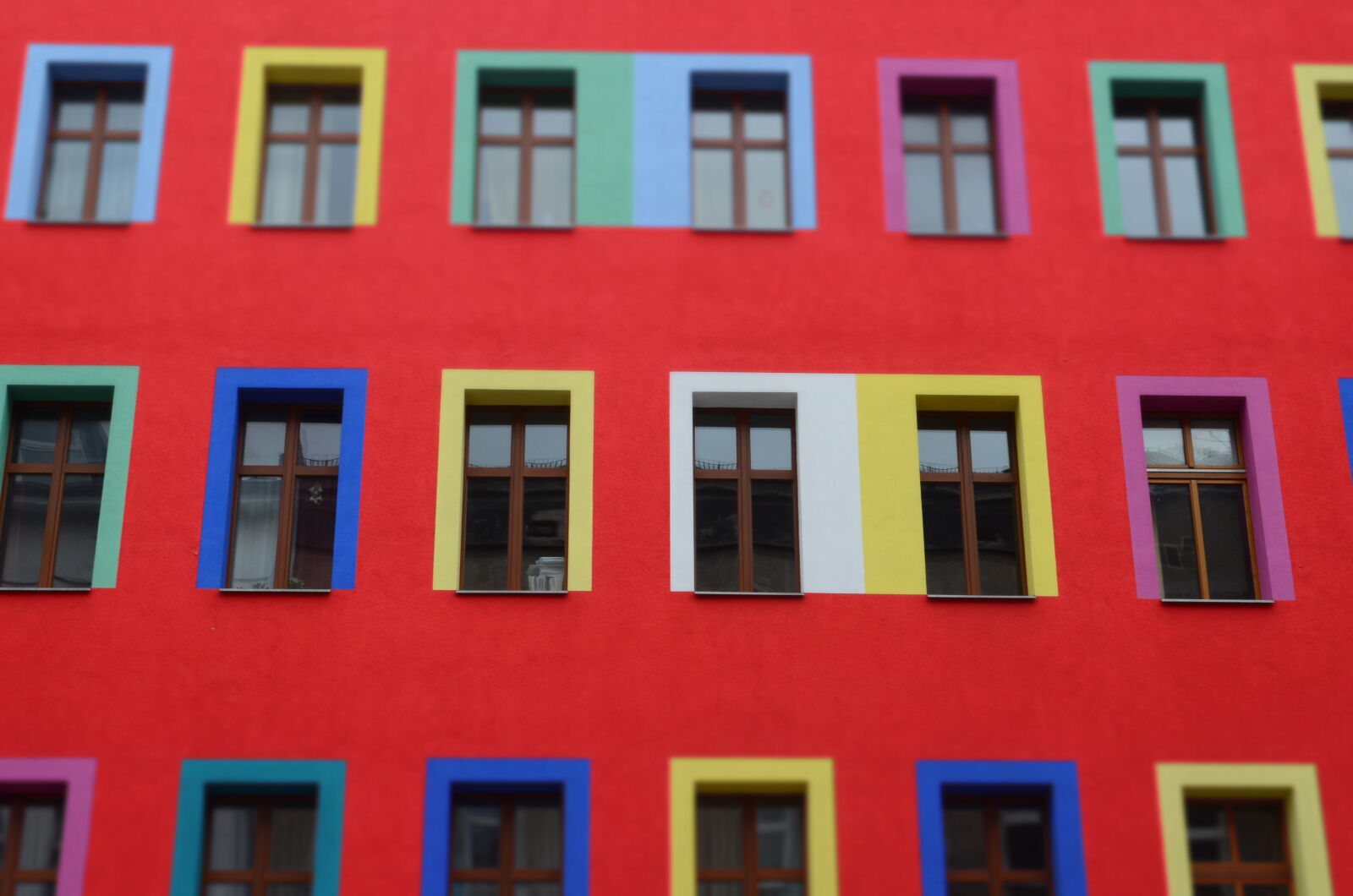 Nikon D5100 sample photo. Blue, green, pink, red photography