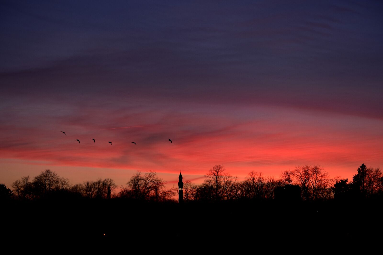 Nikon D5300 sample photo. Sunset, dawn, nature photography