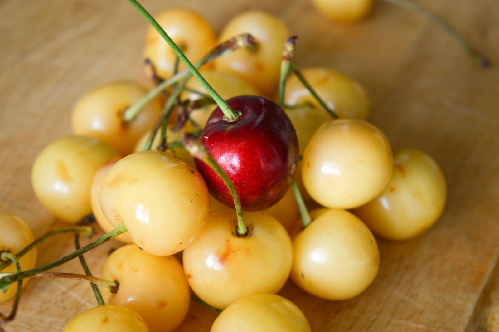Nikon D3200 sample photo. Cherry, leadership, other photography