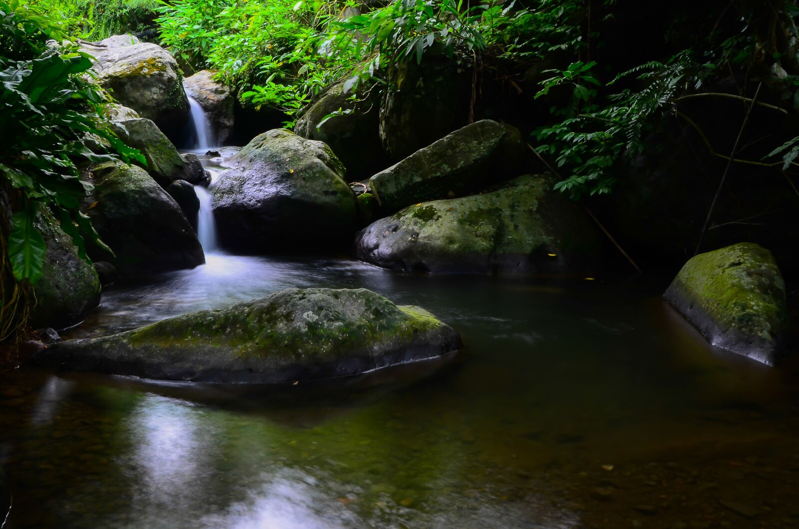 Nikon D7000 sample photo. Water flow, rock, green photography