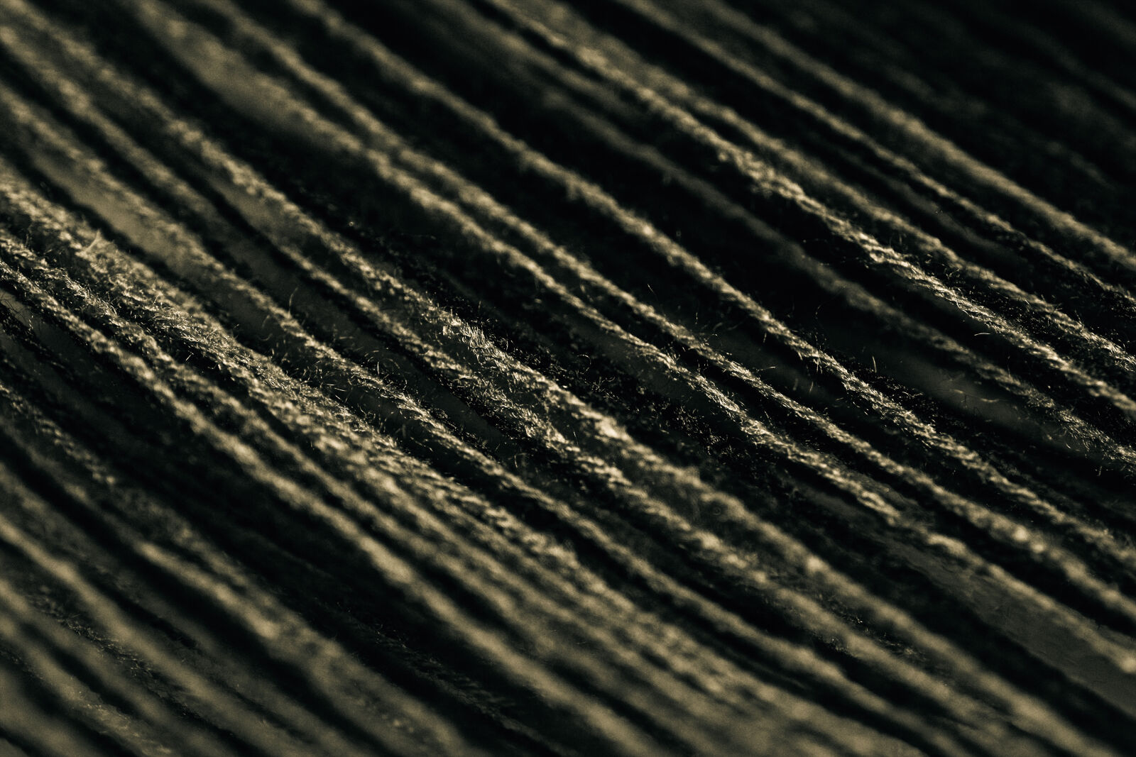 Sony DSC-R1 sample photo. Detail, string, strings photography