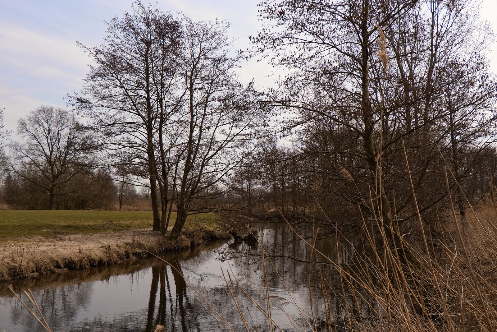 Canon EOS 77D (EOS 9000D / EOS 770D) sample photo. Nature, tree, landscape photography