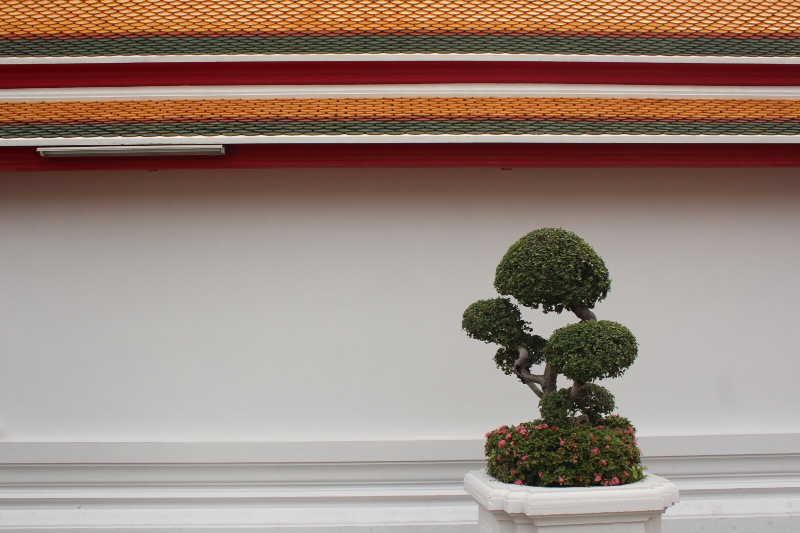 Canon EOS 600D (Rebel EOS T3i / EOS Kiss X5) sample photo. Bonsai tree, tree, bonsai photography