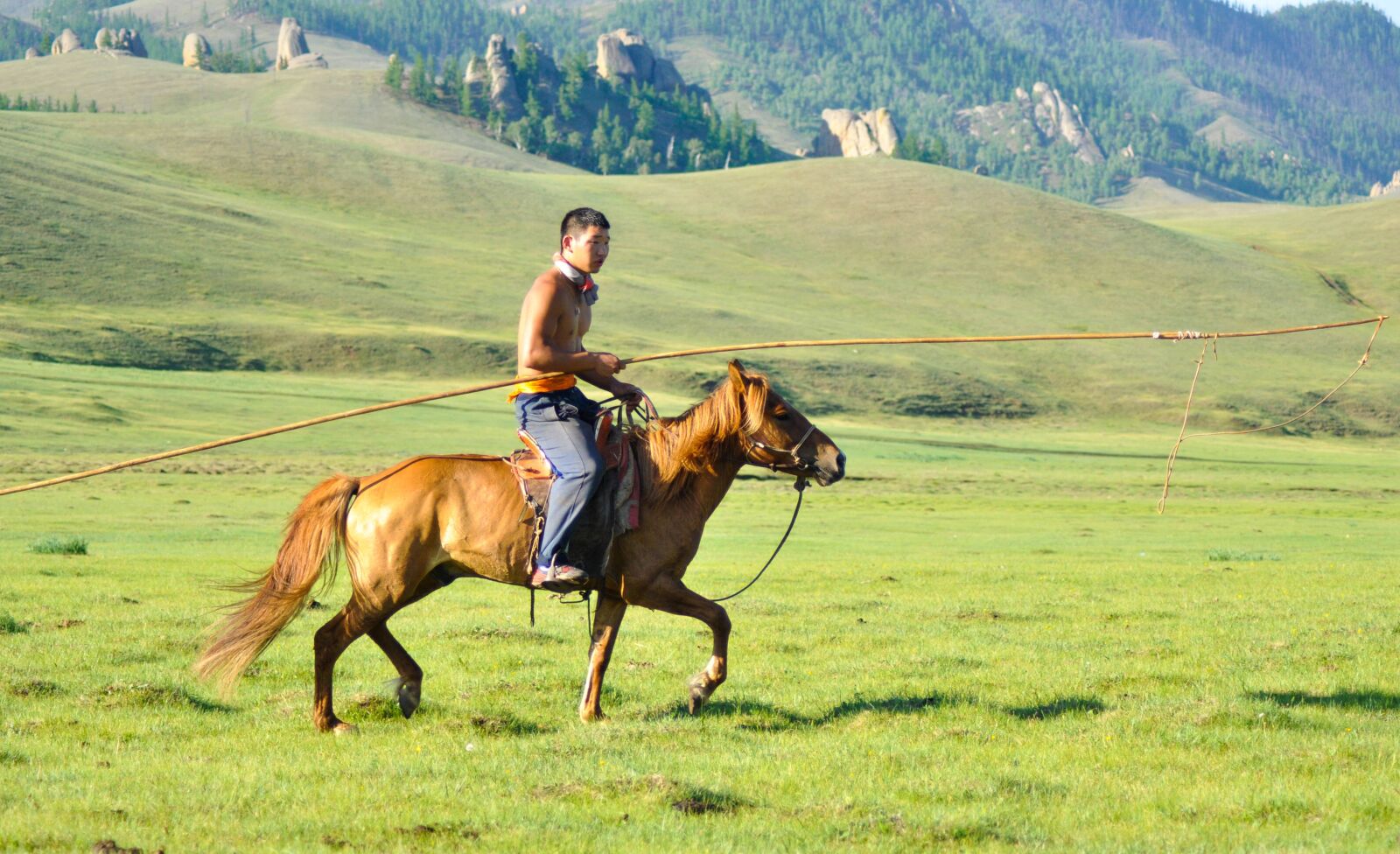 Nikon D90 sample photo. Wrangler, horse herder, cowboy photography