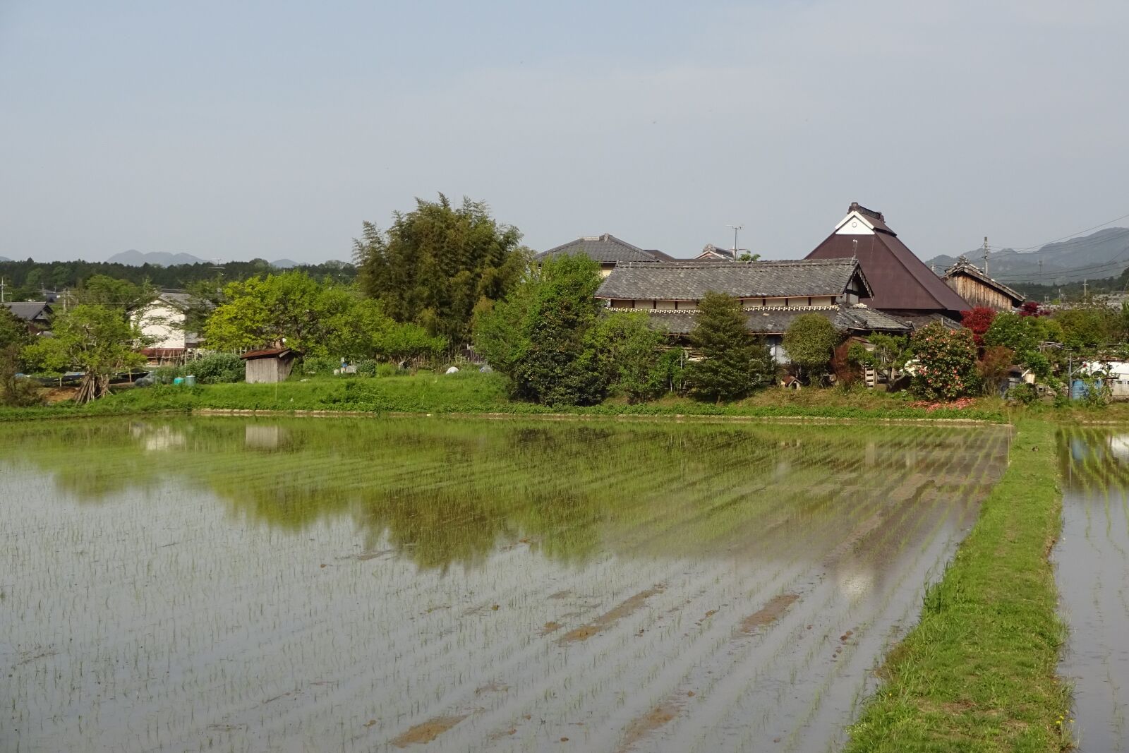 Sony Cyber-shot DSC-WX220 sample photo. Early summer landscape, countryside photography