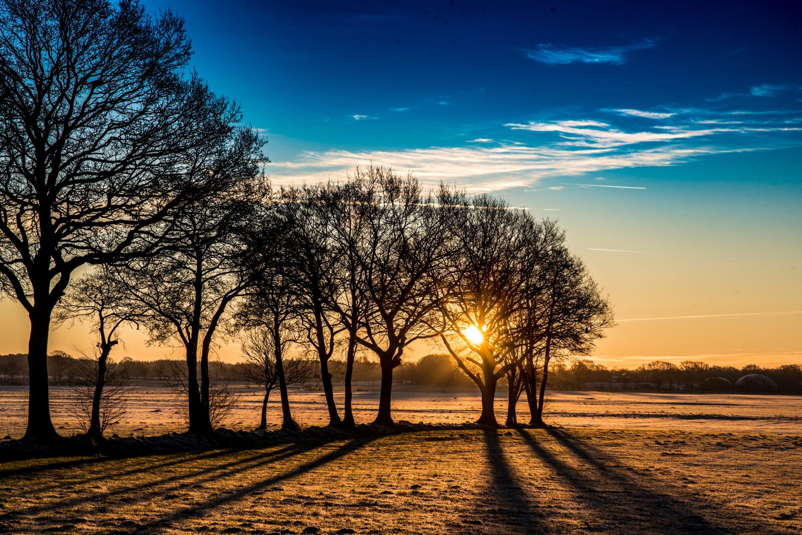 Nikon D750 sample photo. Nature, tree, dawn photography