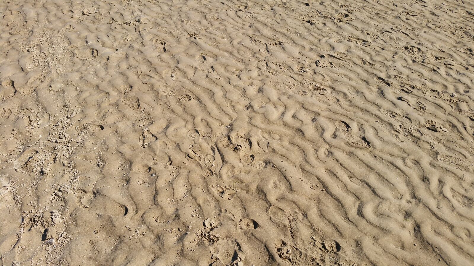 Samsung Galaxy S5 LTE-A sample photo. Beach, nature, sea photography