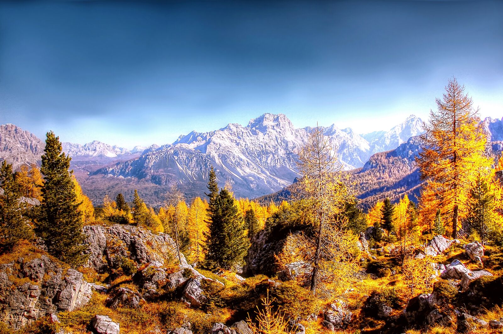 Nikon D40 sample photo. Indian summer, dolomites, alm photography