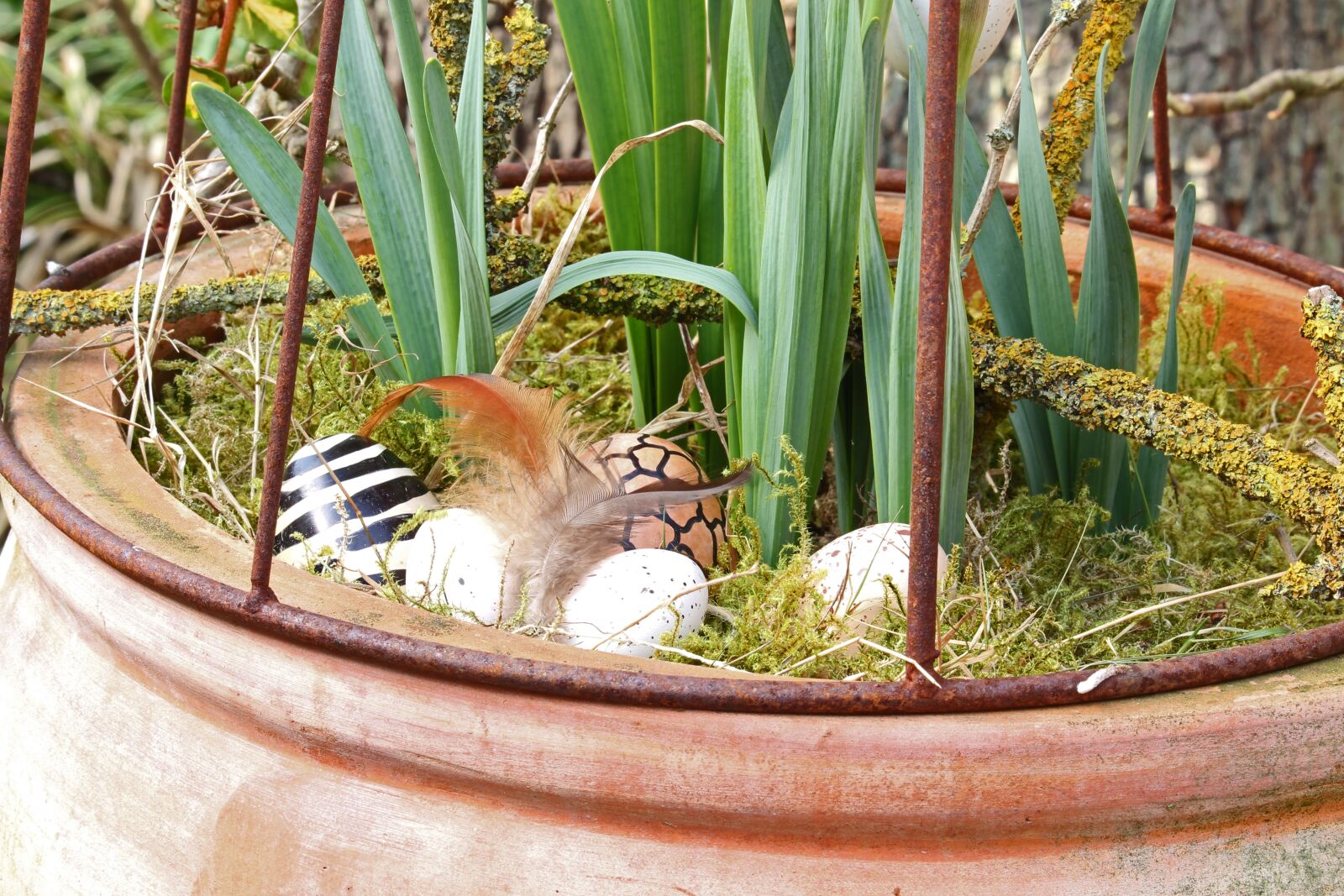 Canon EF-S 55-250mm F4-5.6 IS STM sample photo. Easter eggs, easter nest photography