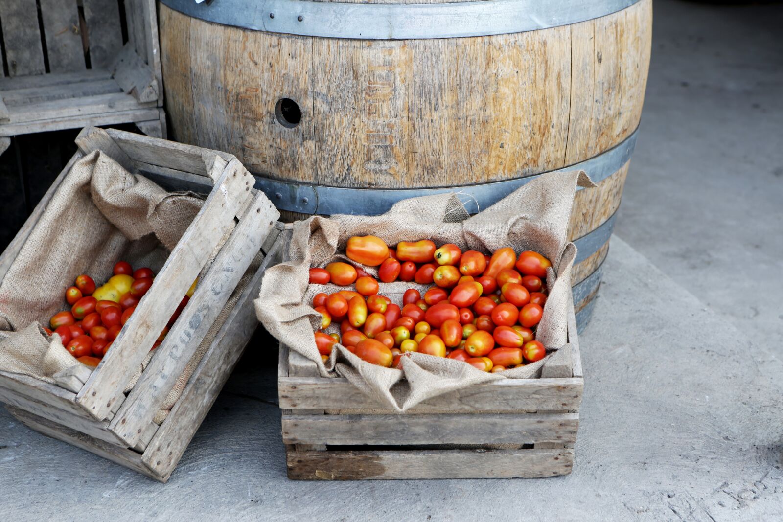 Canon EF 24-70mm F2.8L USM sample photo. Tomatoes, vegetables, food photography